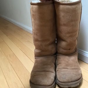 UGG Chestnut Size 8